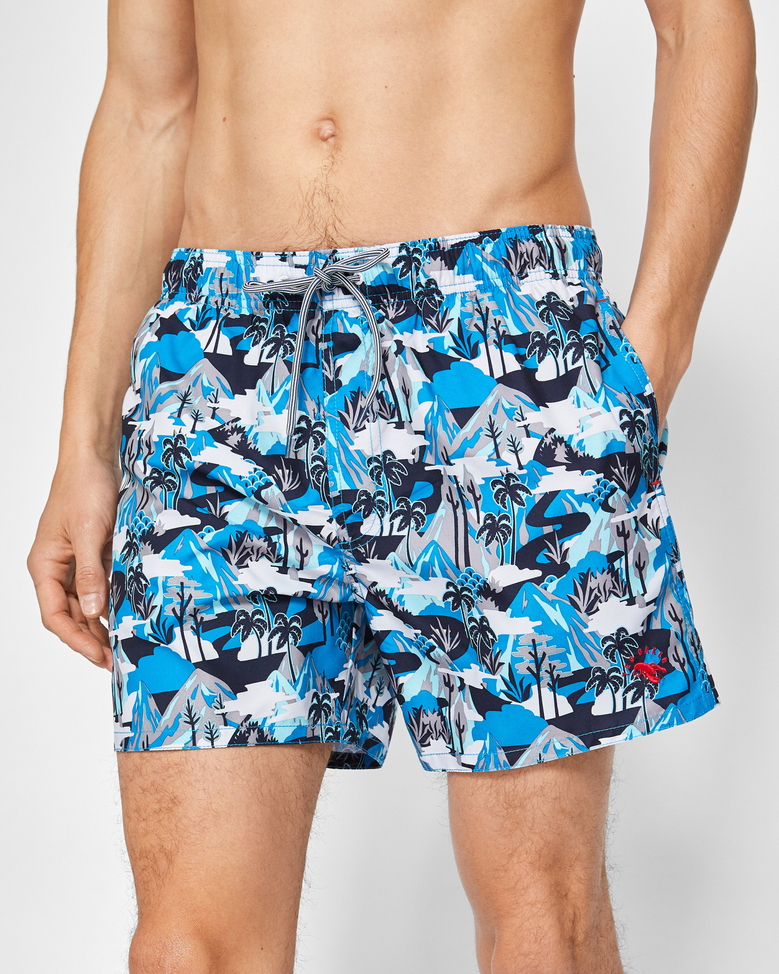 KARNER Mountain print swim shorts